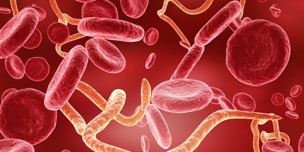 ebola virus in human body 3d illustration